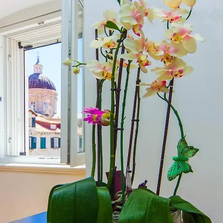 & Orlando Gostinjska kuća